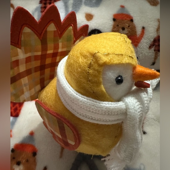 Coco - Target bird - Picture 2 of 2